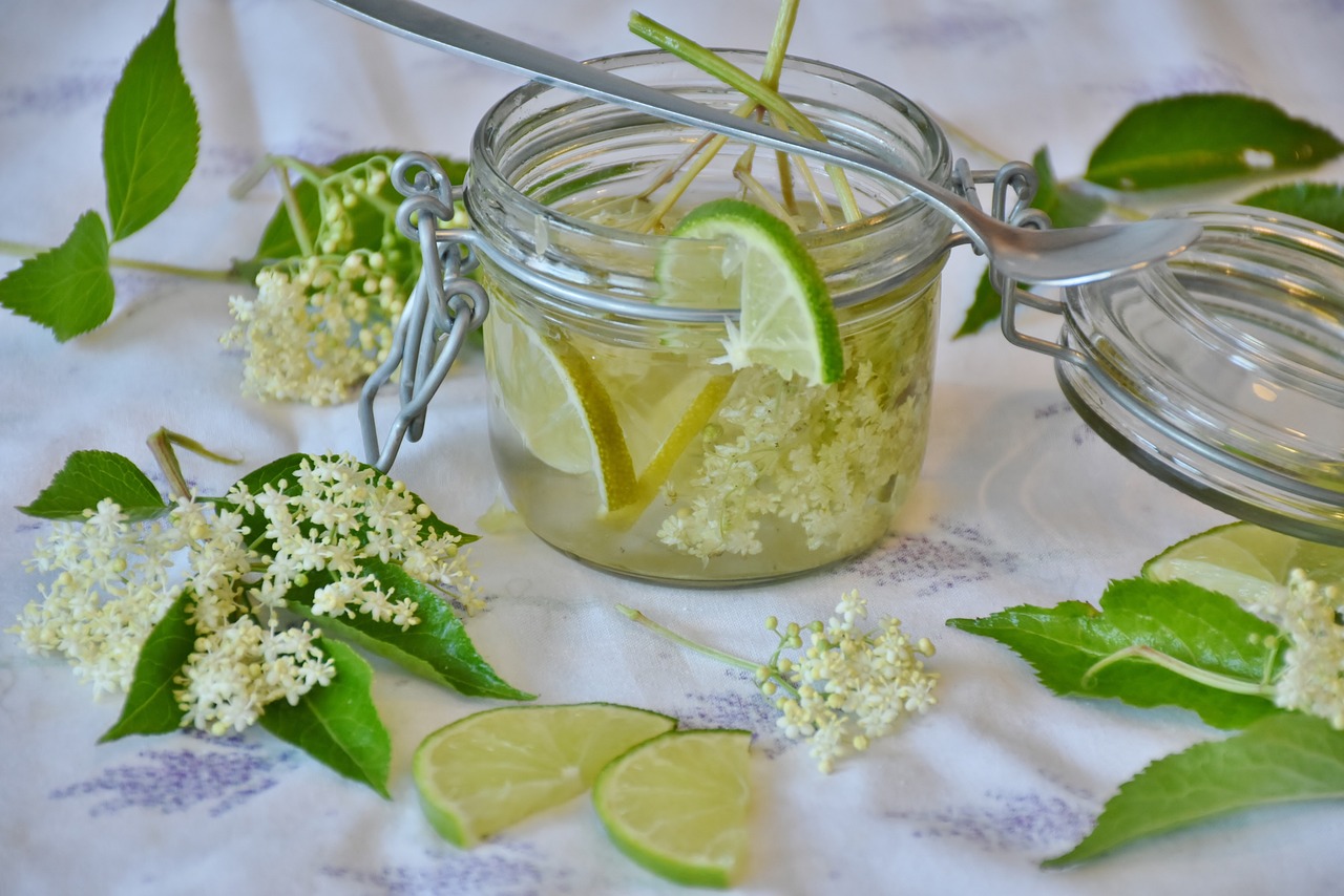 Pflanzenporträt Holunder Und Holunder Rezepte